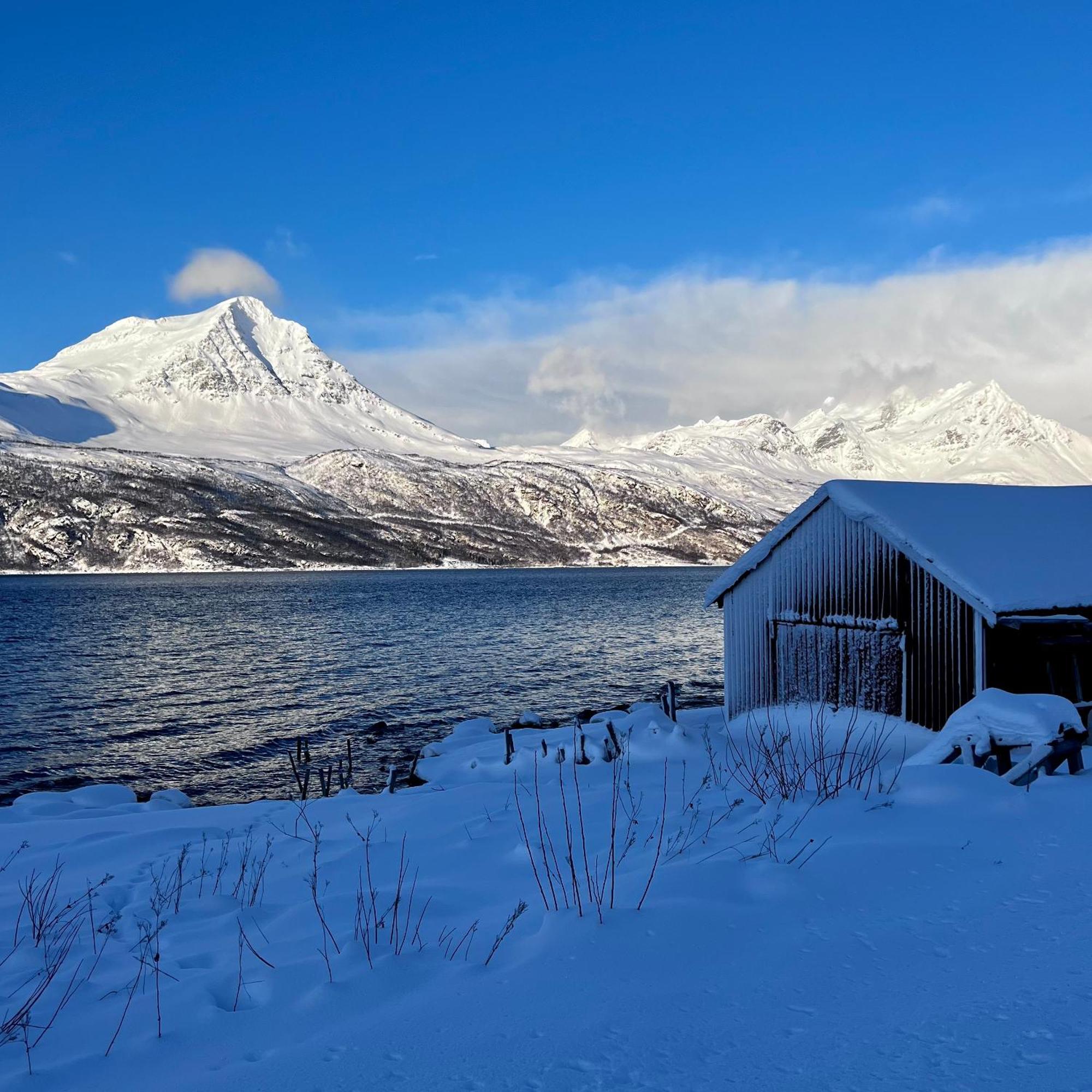 Artic Dream Apartment Gratangen Exterior photo